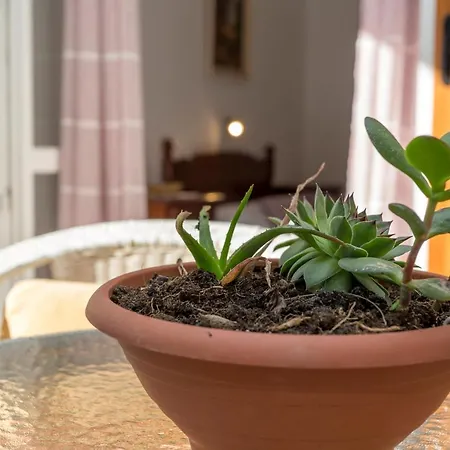 Historic Center Hvar Town- A Few Steps From The Main Square