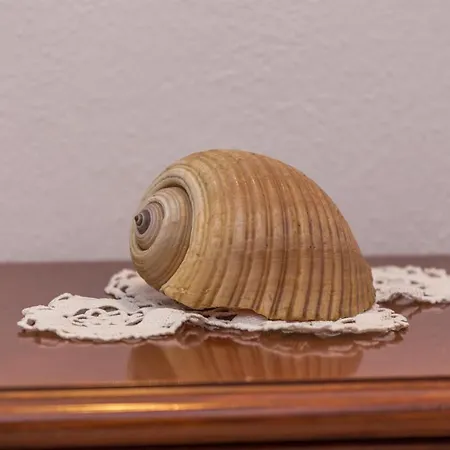 Historic Center Hvar Town- A Few Steps From The Main Square