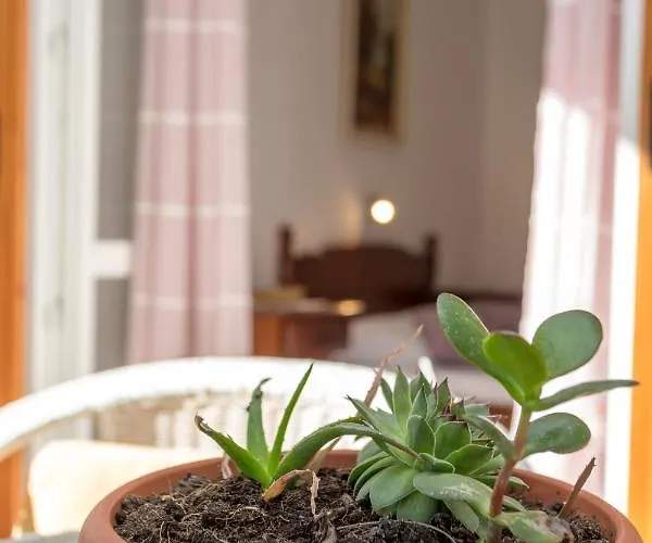 Historic Center Hvar Town- A Few Steps From The Main Square * Hvar Town