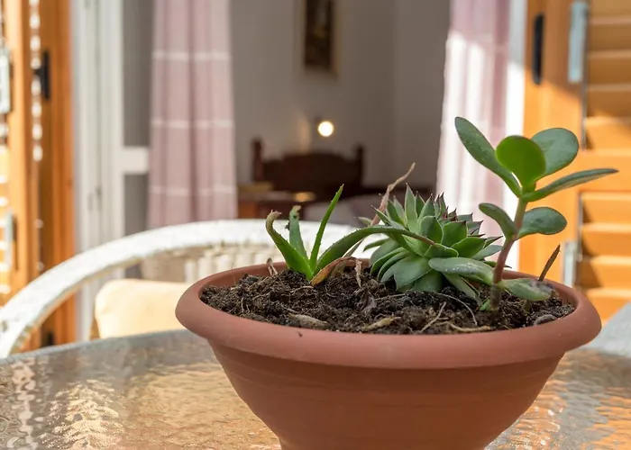 Historic Center Hvar Town- A Few Steps From The Main Square