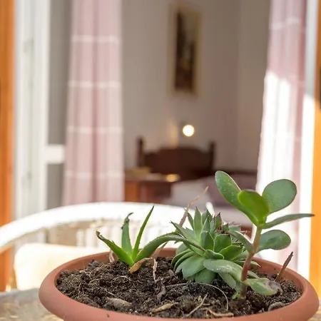 Historic Center Hvar Town- A Few Steps From The Main Square * フヴァル